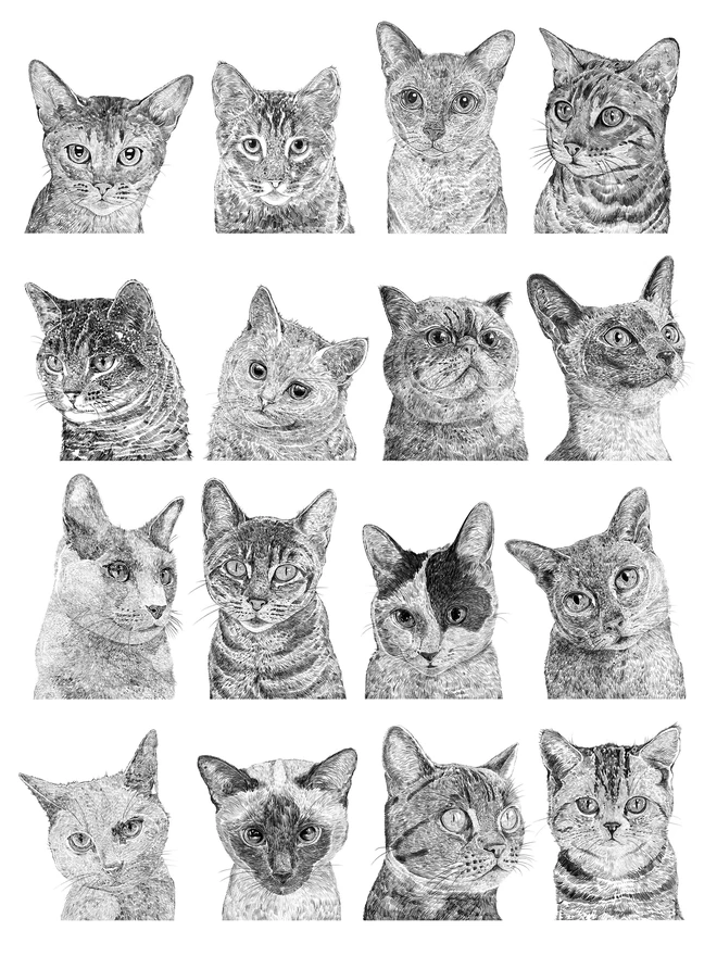 Collection of cats art print also available to buy as an art print