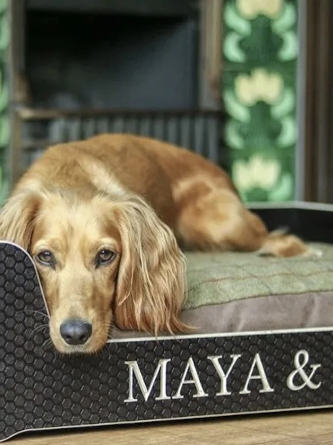 Wooden Personalised Dog Bed