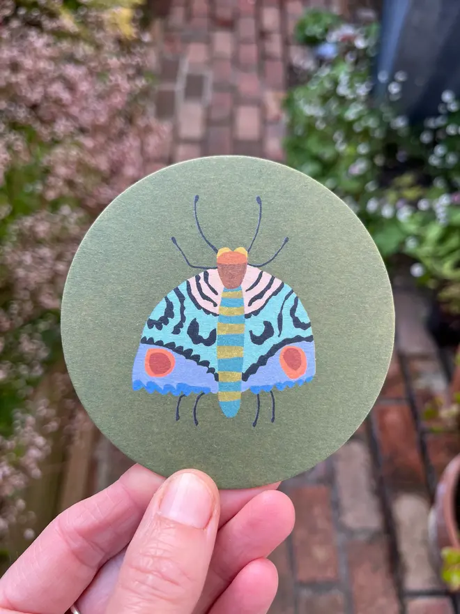 moth bee coaster set