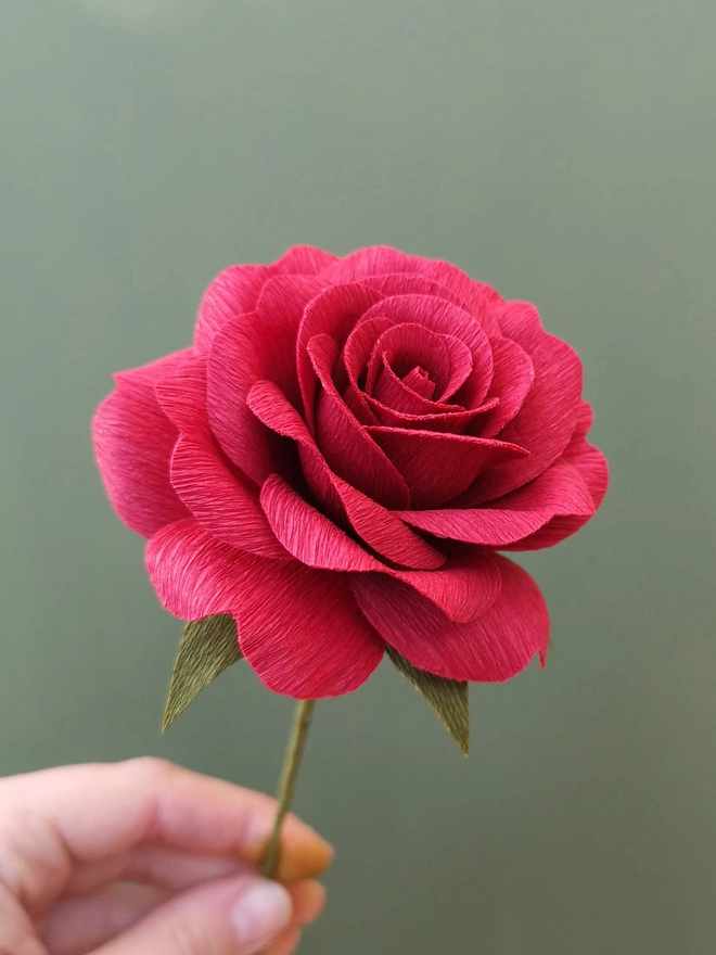 1 red crepe paper rose