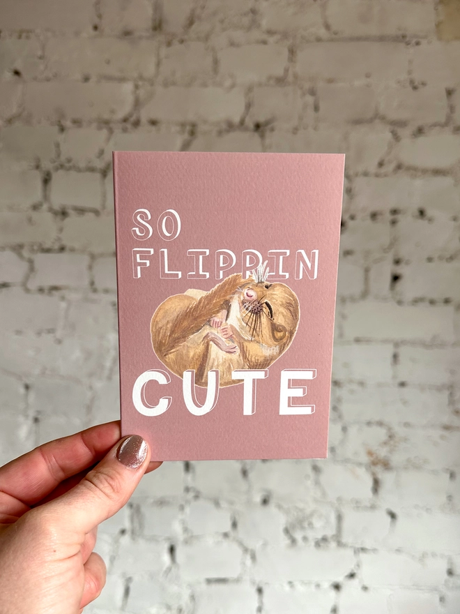 a dusty pink greetings card featuring an illustration of a sleeping mouse with the text “so flippin cute”