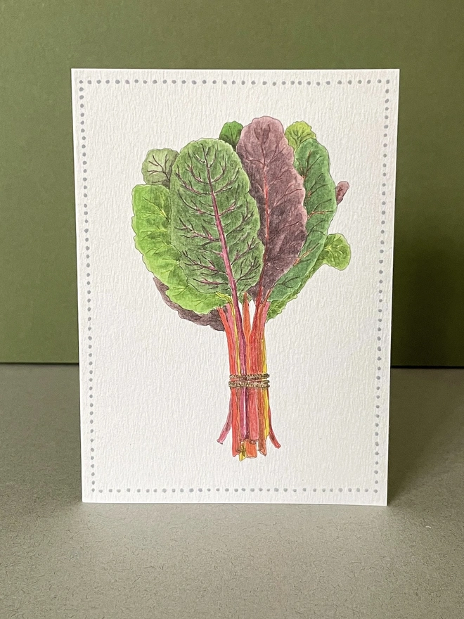 Garden Lover's Watercolour Chard Greetings Card 