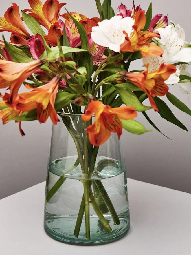 Glass Vase, a large glass vase on a white counter top sitting against a grey backdrop. It is filled by a flower. 