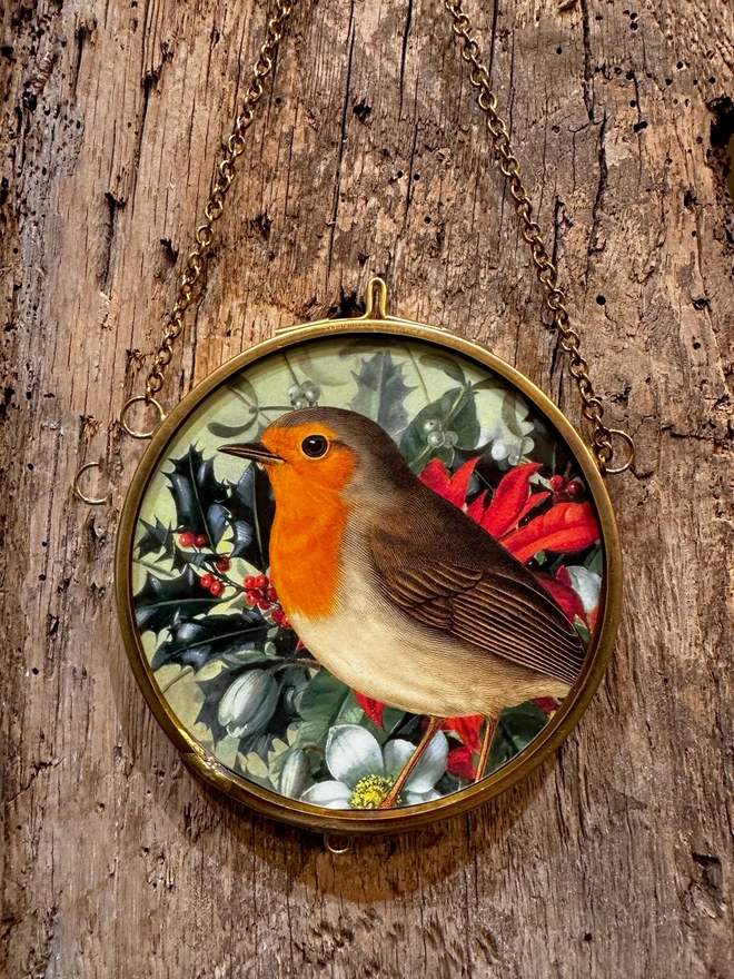 A robin amongst Christmas foliage miniature print in a gold, brass hanging frame.
