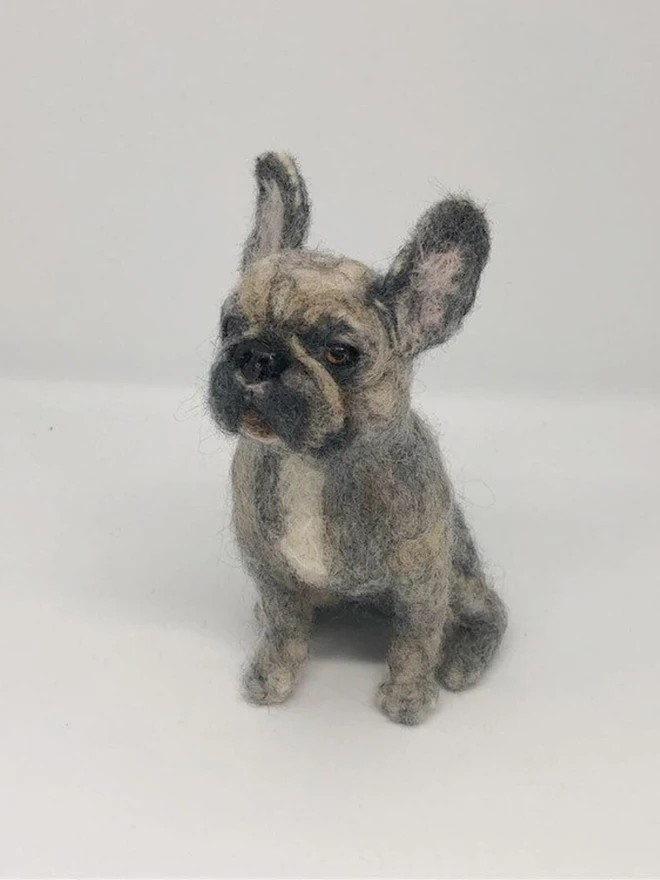 merino wool french bulldog portrait