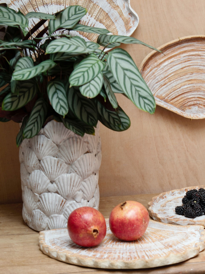 Lifestyle image of a ceramic shell plate on a tabletop, holding a pair of pomegranates with a plant nearby, and another ceramic shell on the wall behind