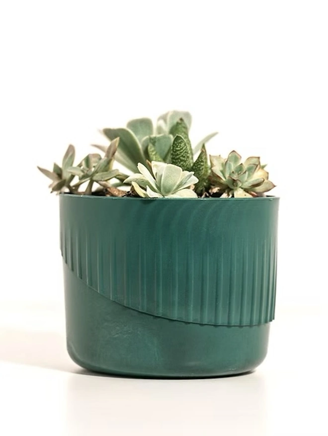 Ocean Plastic Plant Pot Small, a green recycled plant pot sitting on a white surface against a plain backdrop. It is accompanied by a plant. 
