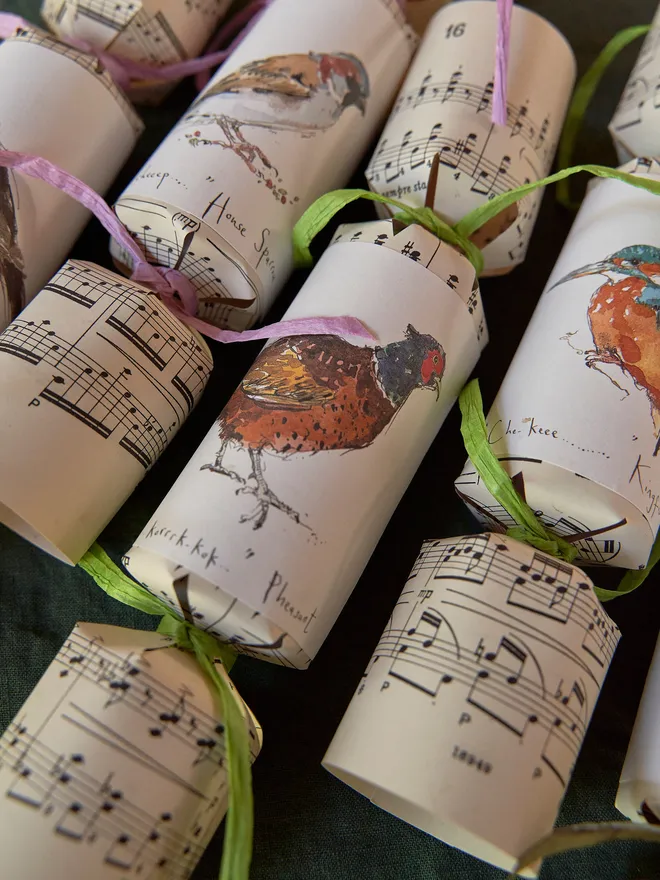 EcoMagpie_BirdMusicChristmasCrackers