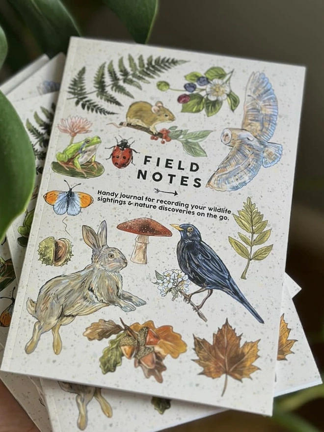 British Hedgerow Field Notes Journal, a stack of field notes journals sitting in a room. 