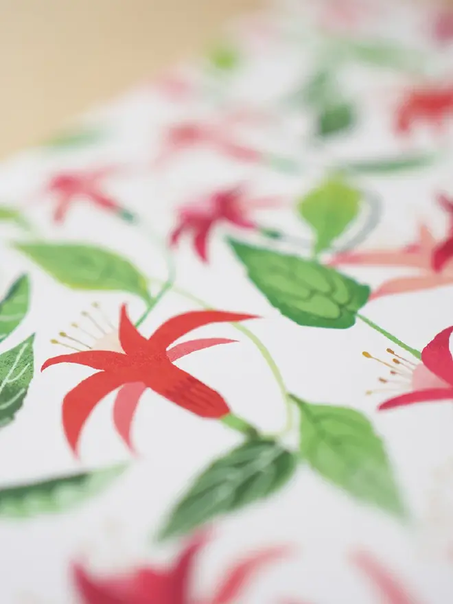 fuchsia flower gift wrap