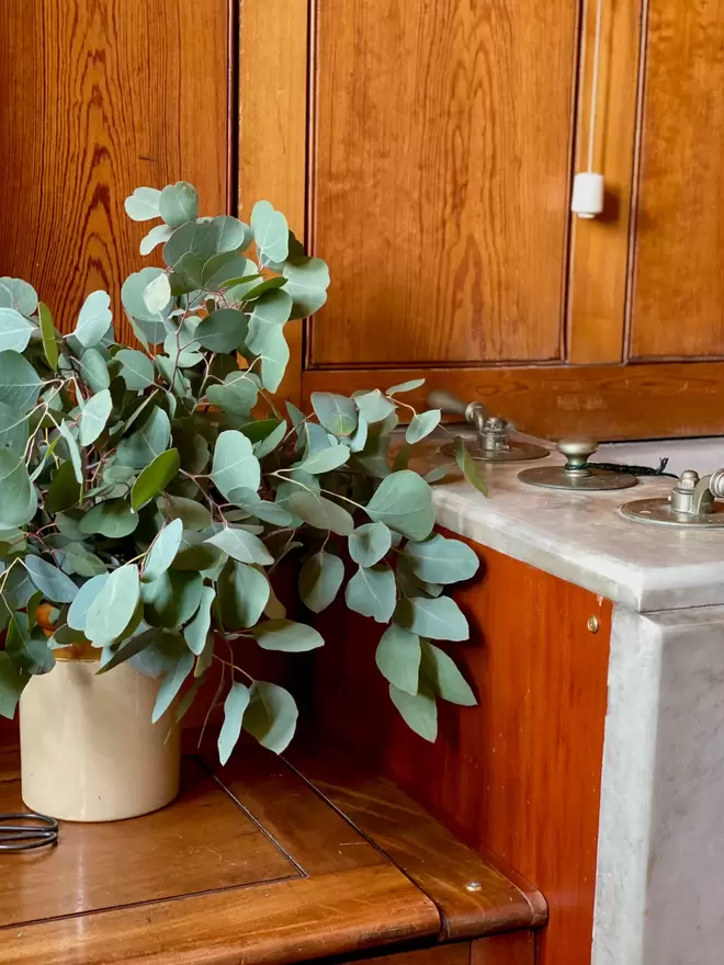 Freshly Cut Eucalyptus Populus Greenery sits in a vintage brown ceramic vase. The vase sits on a light oak board with a pair of small vintage scissors alongside. The scene is set in a wooden panelled bathroom with a grey marbled bathtub in the background.