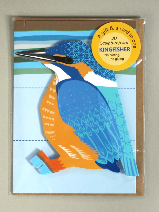 3d kingfisher pop out card