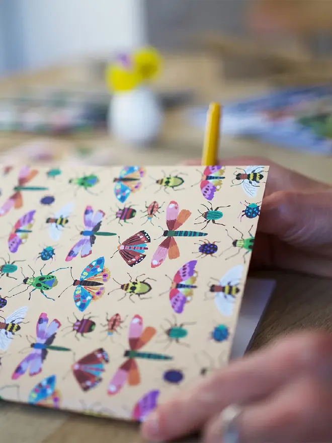 illustrated insects notebook