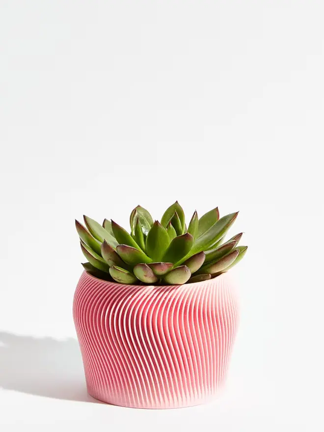 Sustainable 3D Printed Sakura Pink Plant Pot, orbital design against a white background. 
