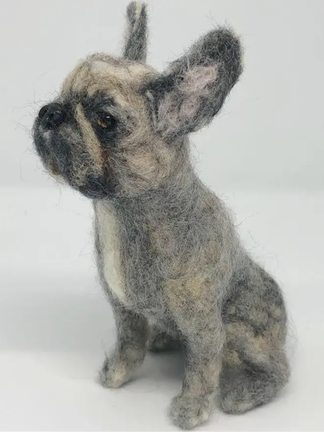 merino wool french bulldog portrait