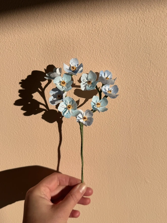 Forget me not Flowers