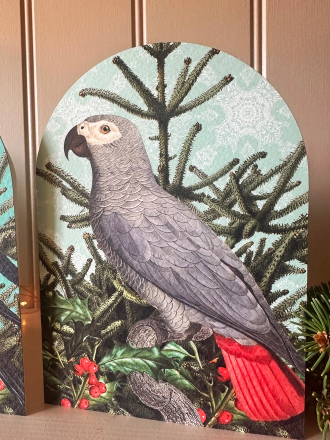 A photo showing an African Grey parrot on an arched shaped Christmas card with a  parrot on a Christmas tree with holly. The card sits on a shelf, displayed with Christmas foliage.