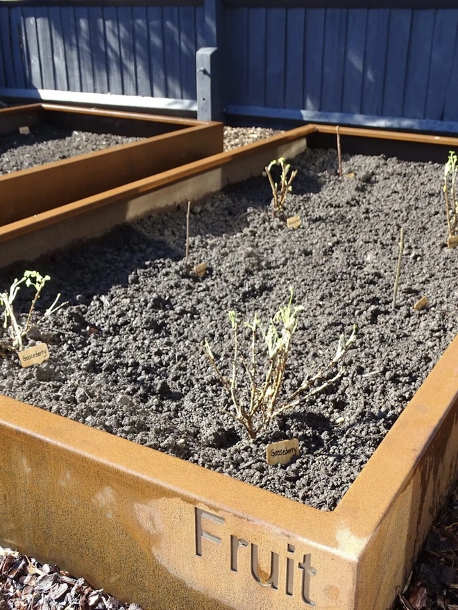 Braybrooke Corten Raised Bed Planters, planter in garden with produce growing. 