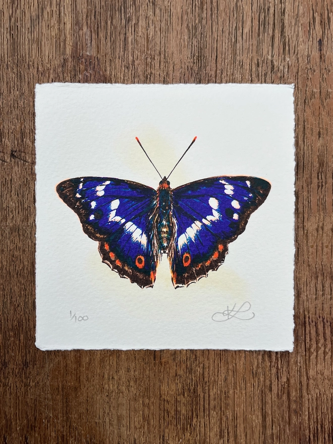 Purple Emperor Butterfly Screenprint