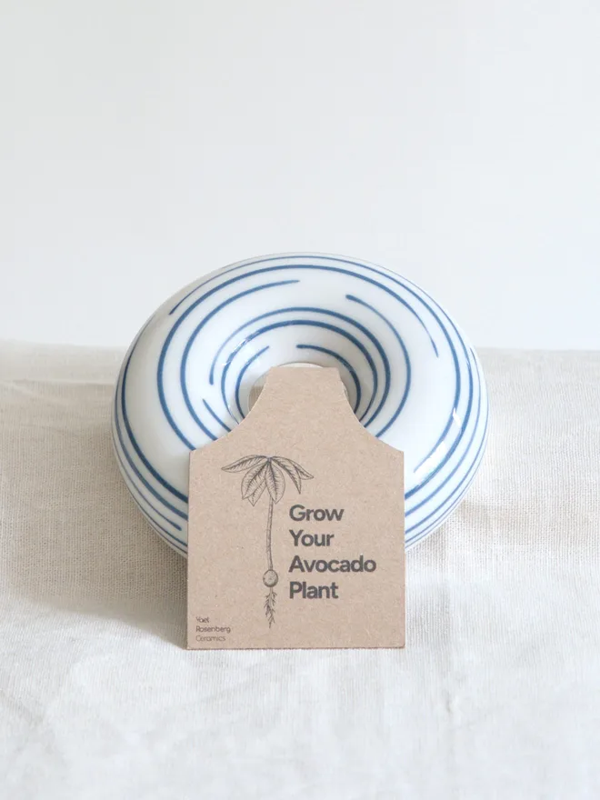 Avocado Planter Wrapped in Gift Wrap- Unique Ceramic Plant Pot & Home Decor Gift