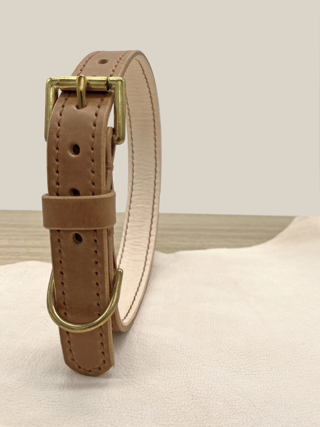 caramel dog collar on its side