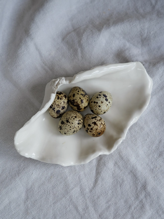 porcelain clam shell dish