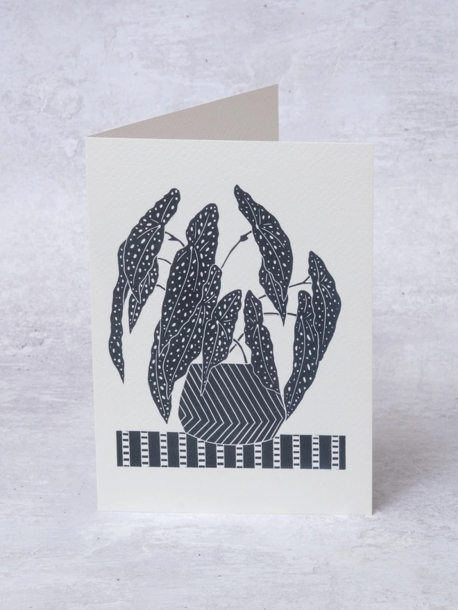 Greeting Card with an image of a Begonia Plant taken from an original lino print