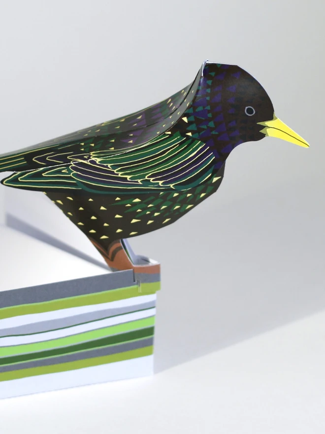3d starling pop out card