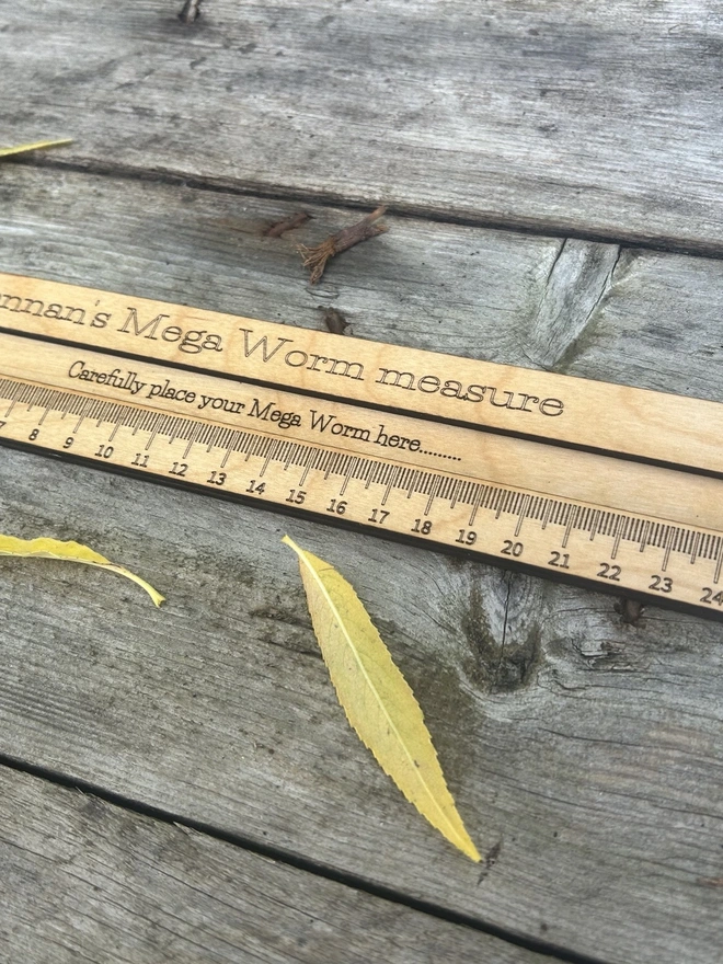 A personalised birch plywood worm‑measuring board lying flat on a natural outdoor surface. The tool features a long engraved ruler scale up to 26cm and a central slot for safely placing a worm during measurement. The wood has a smooth, light oil finish with rounded edges, designed for young learners and forest school activities. No worms are shown; only the wooden measuring board with its  carrying cord is visible.