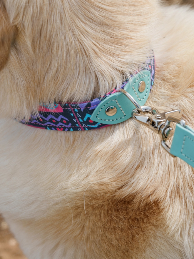 Hiro + Wolf luxury leather and fabric dog collar
