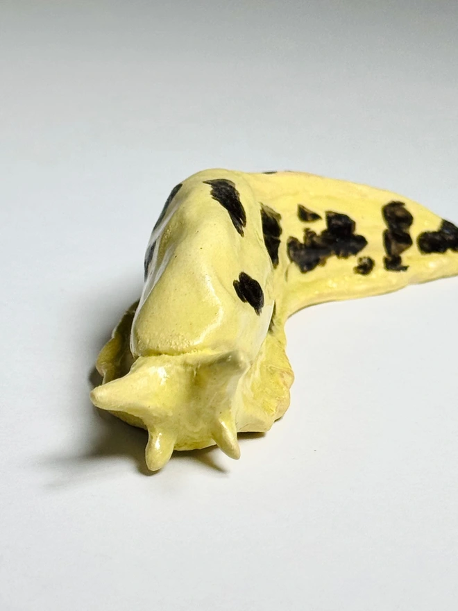 Banana Slug III