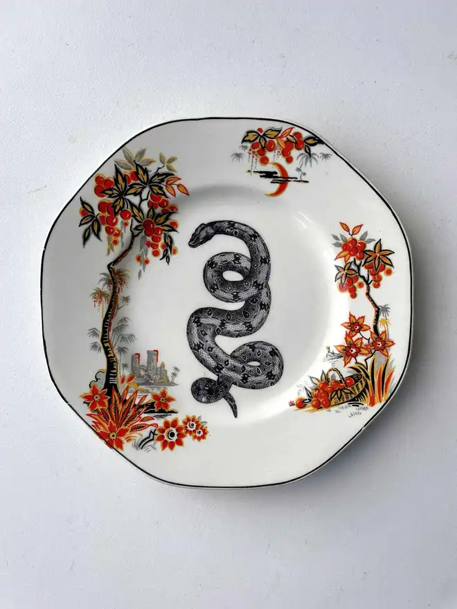 vintage plate with an ornate border, with a printed vintage illustration of a snake in the middle 