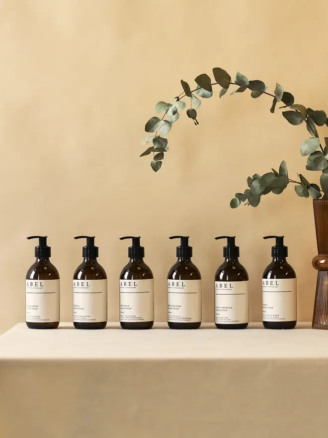 Hand Soap (300ml)