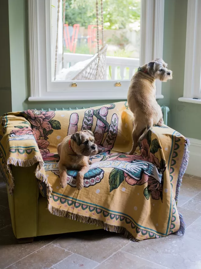 Chilled Out Woven Cotton Throw seen on a chair with two dogs sitting on it.