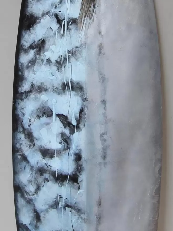 Contemporary art - Mackerel Fillet  - ' Preloved Surfboard'