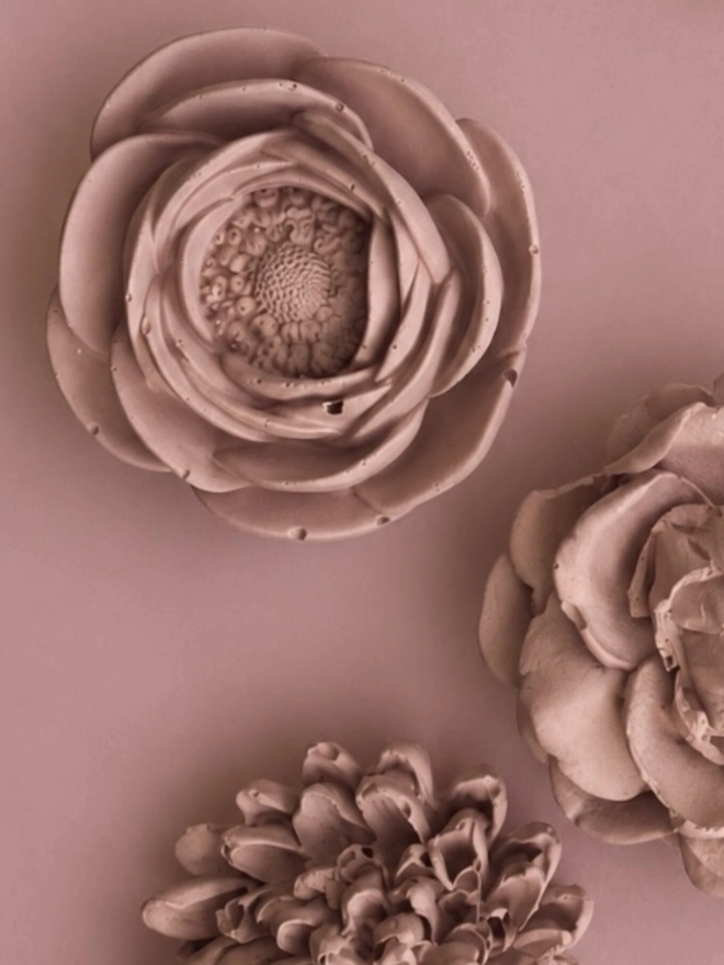 Wall Flowers