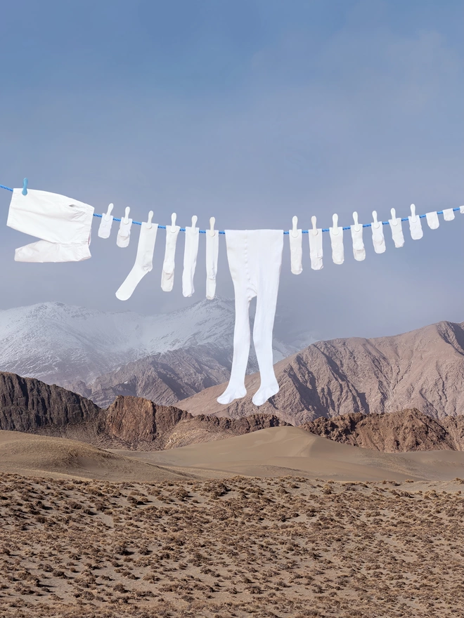 Laudrosauras - print of clothes line dinosaur hung over mountain range