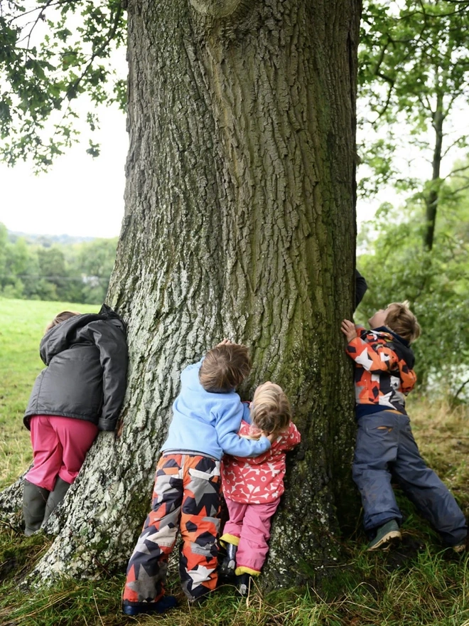 The Grow Your Own British Tree Kit