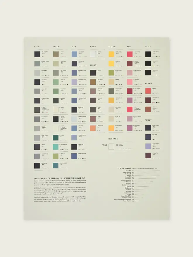 Bird Colours Lithograph Print, hanging on a wall. 