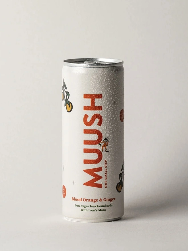 Blood Orange & Ginger Cans (Pack Of 12), an image of a soda sitting on a plain surface. 