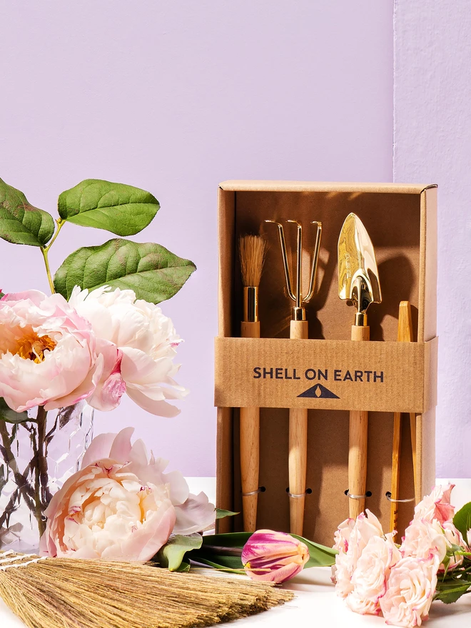 Shell on Earth Potting Tool Set 