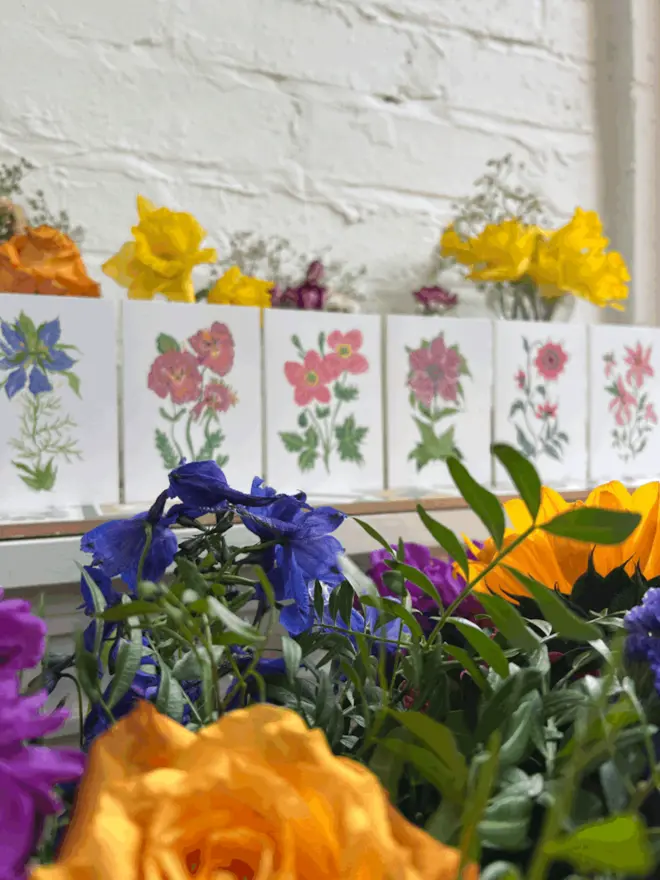 Mini Floral Cards (Pack Of 6)