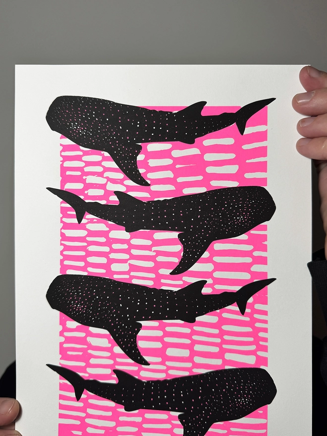 Whale Shark Shiver_A4 Screen Print_Holly and Co_Close up top