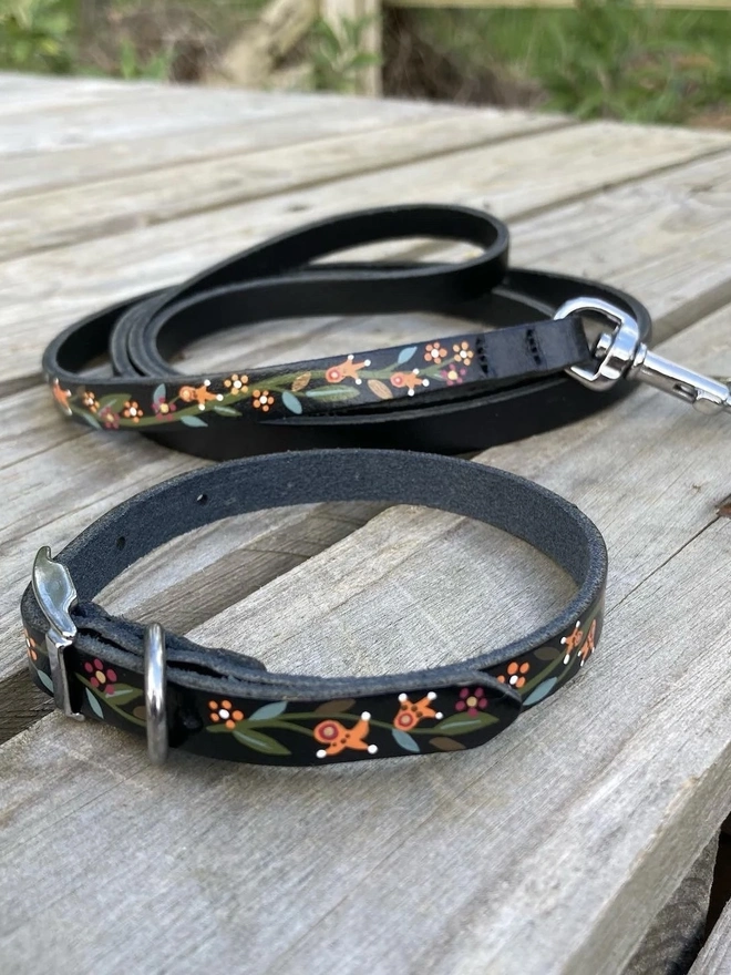 Puppy Collar and Leash/Lead Set