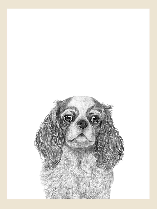 Artwork of cavalier king charles dog art print