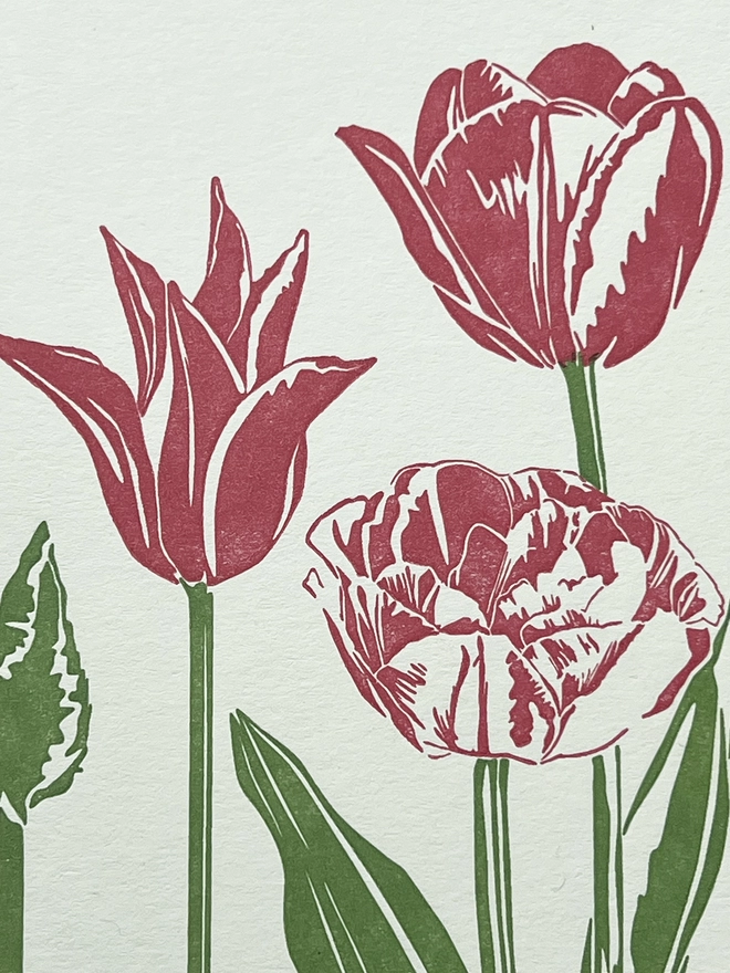 Close up of the letterpress Tulip showing the details of the pink petals