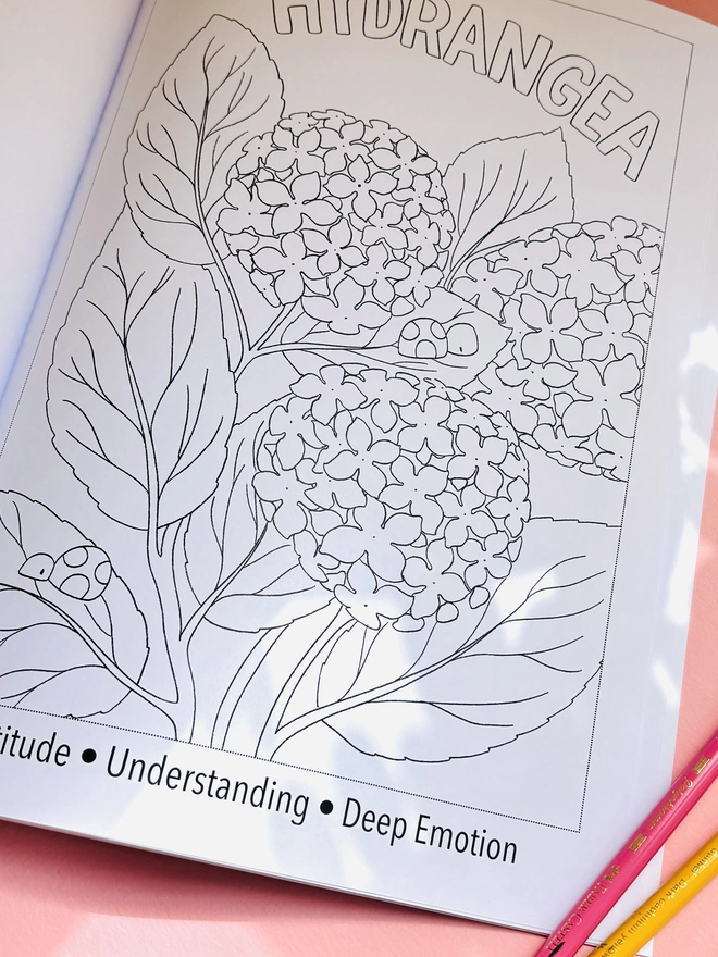 Close up of floral colouring page featuring a hydrangea and cute ladybirds