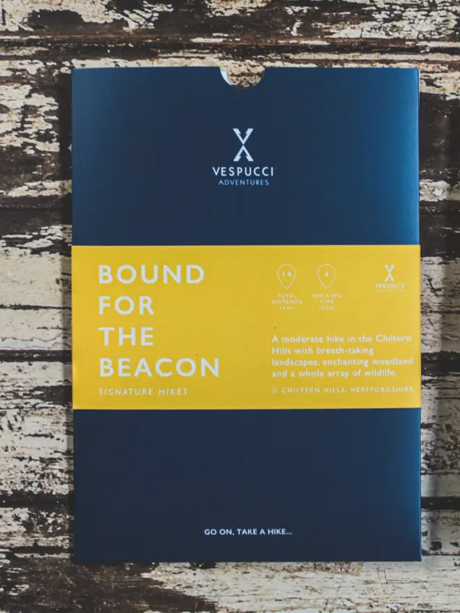 Bound For The Beacon