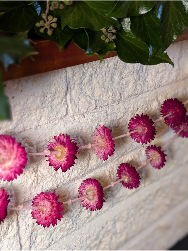 pretty pinks dried flower garland. pink dried flower garland hung against white brick wall.