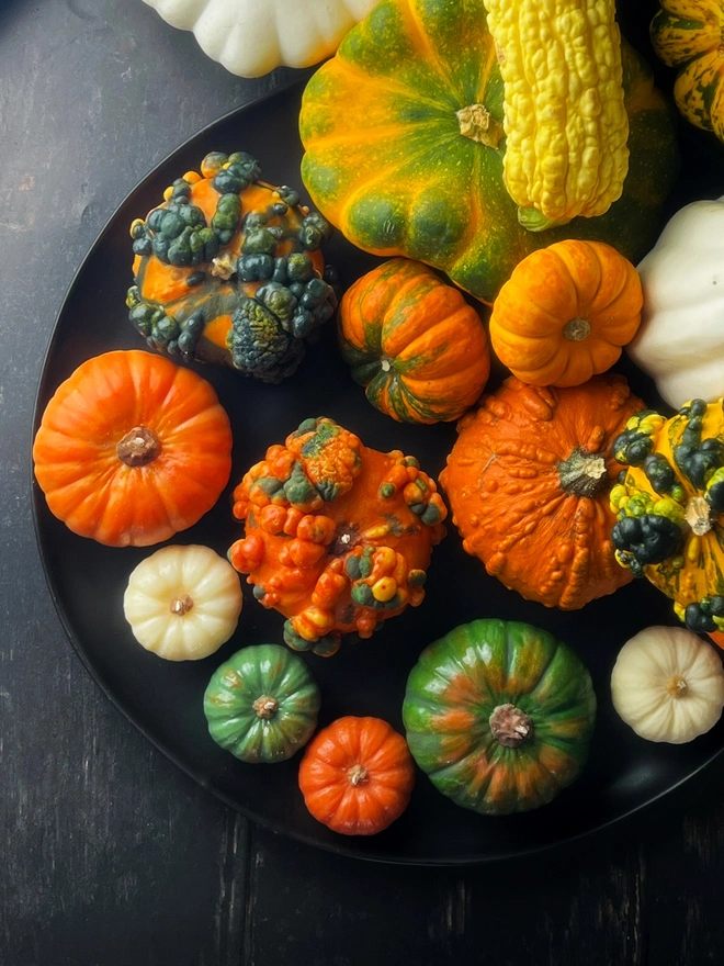 Pumpkin Candle Collection